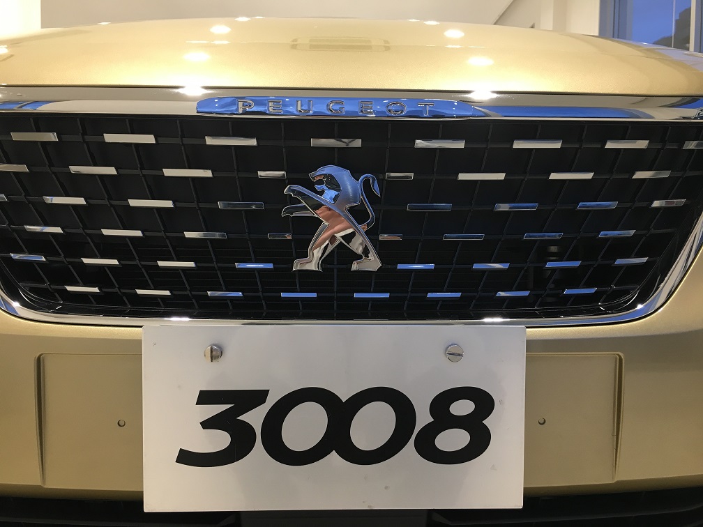 3008.jpg