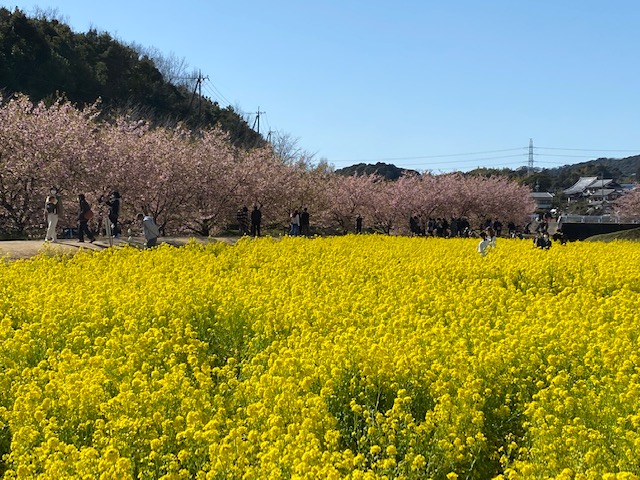 もうすぐでスタッドレスから履き替えのシーズンになります。