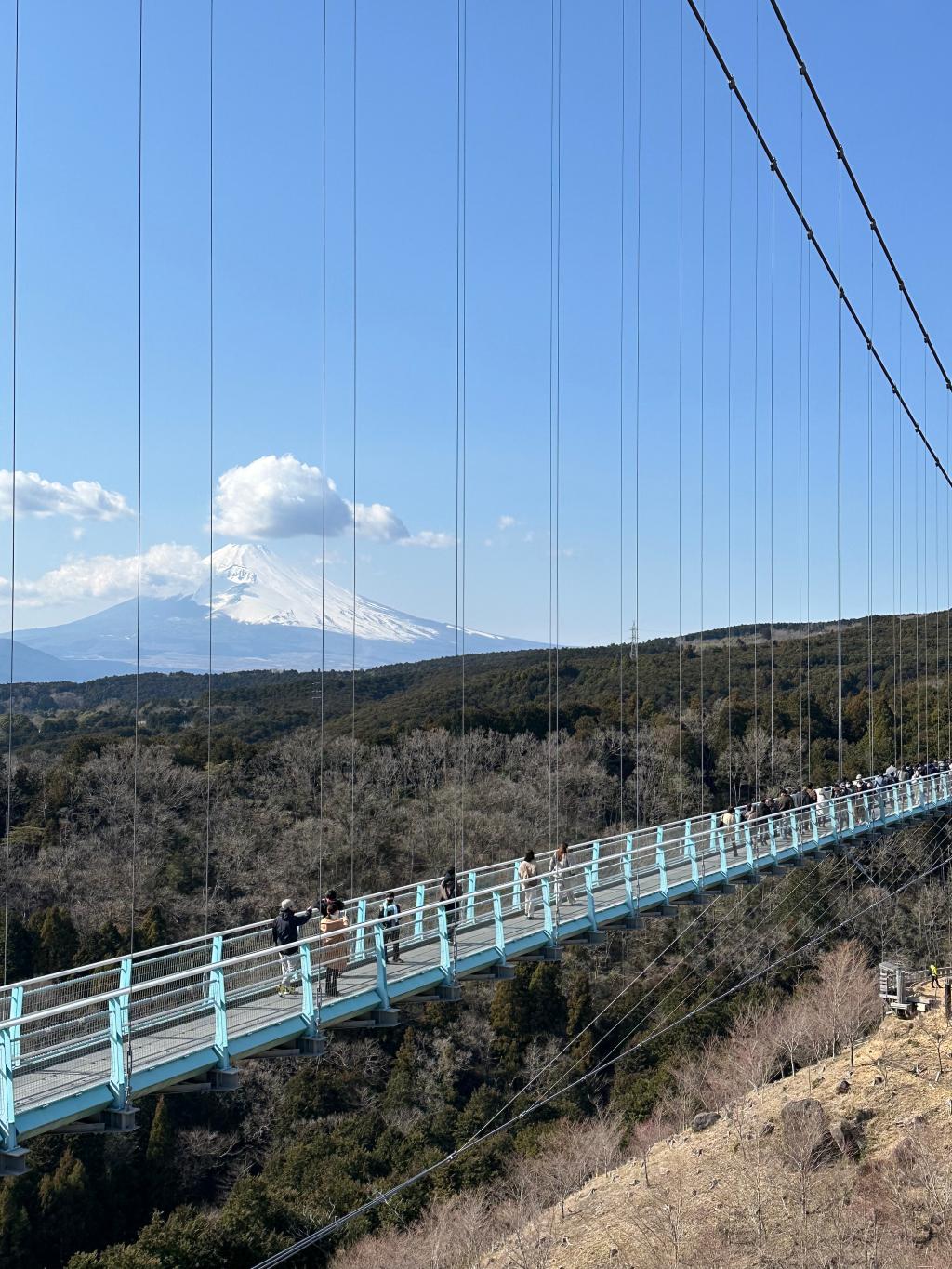 三島スカイウォーク！！