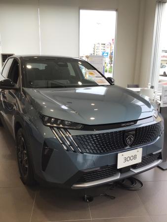 デビューから約3か月★NEW 3008★