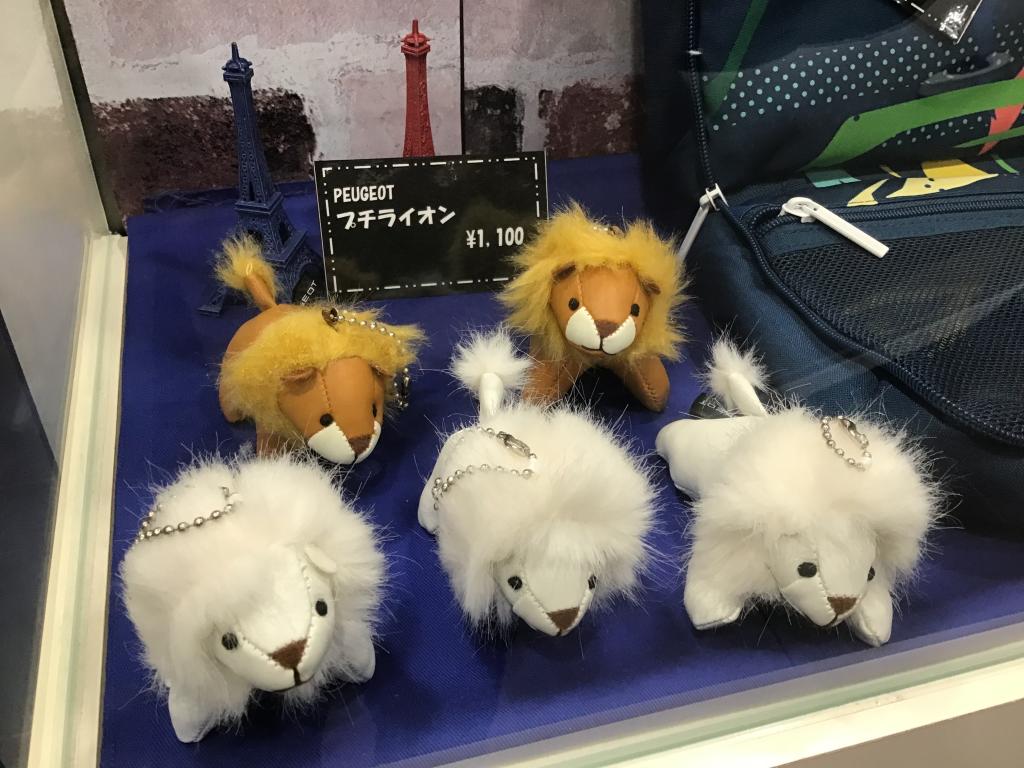 大人気プチライオン🦁