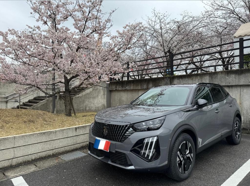 お花見へ！